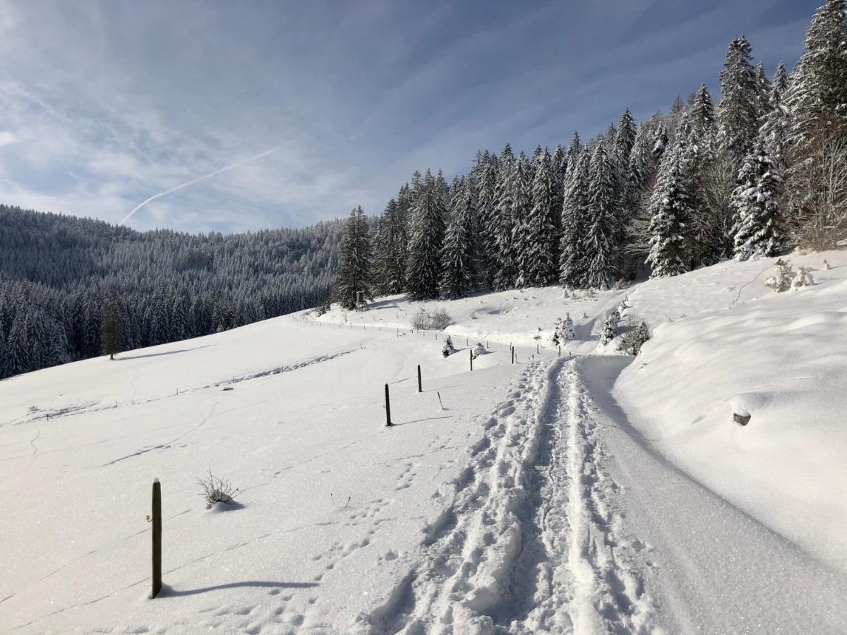 Naturparkhotel Schwarzwaldhaus Bernau im Schwarzwald Eksteriør billede