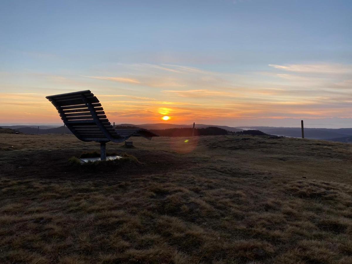 Naturparkhotel Schwarzwaldhaus Bernau im Schwarzwald Eksteriør billede