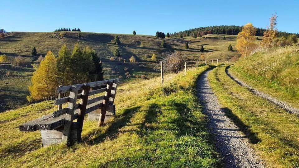 Naturparkhotel Schwarzwaldhaus Bernau im Schwarzwald Eksteriør billede