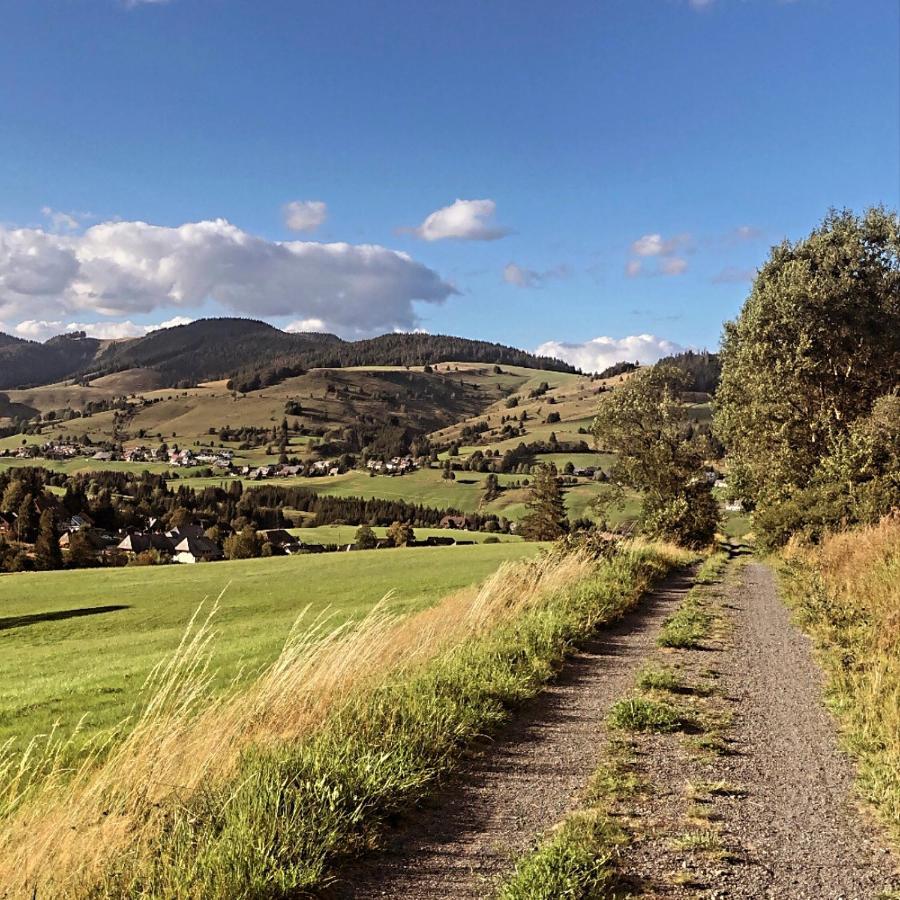 Naturparkhotel Schwarzwaldhaus Bernau im Schwarzwald Eksteriør billede