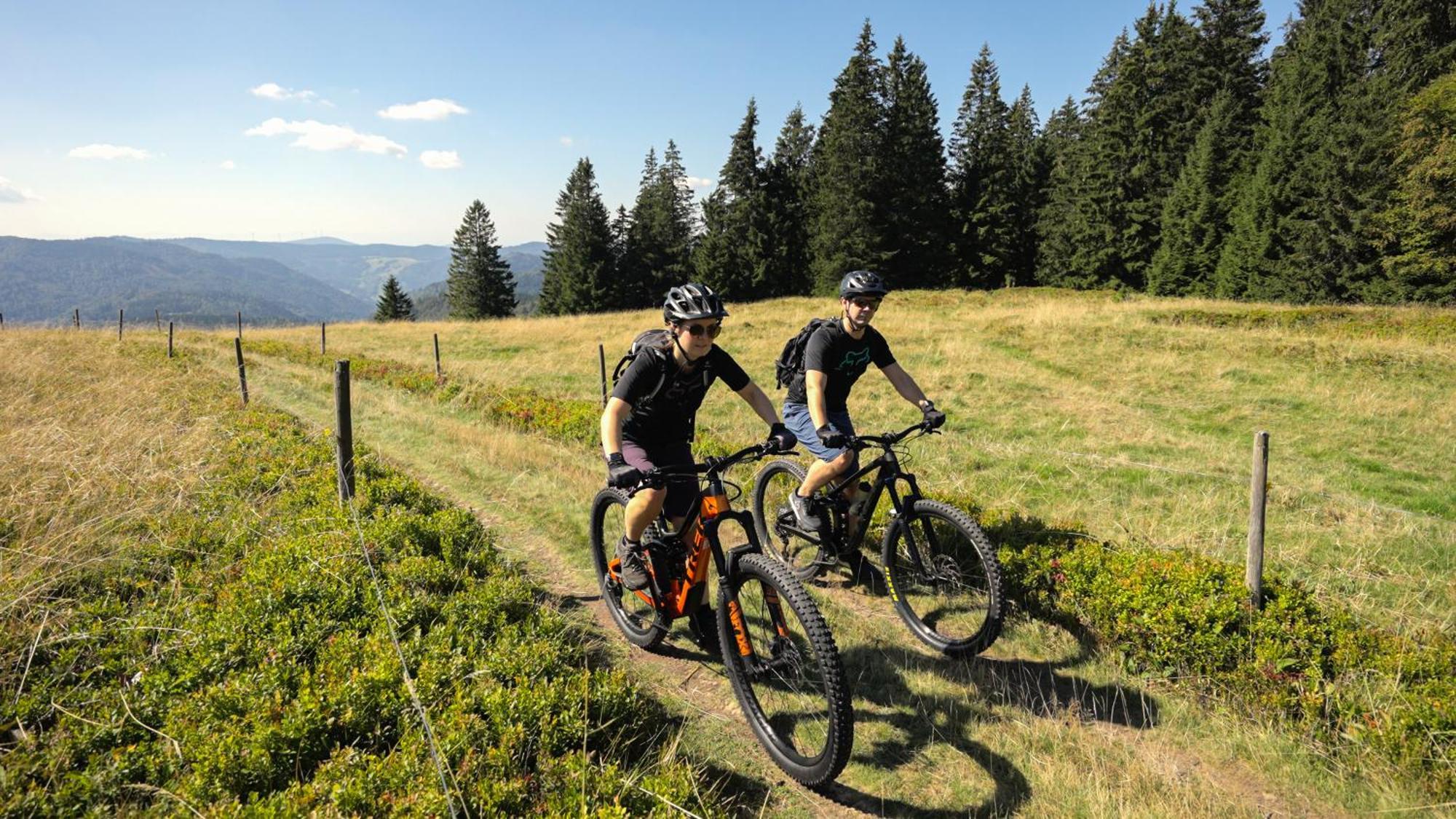 Naturparkhotel Schwarzwaldhaus Bernau im Schwarzwald Eksteriør billede